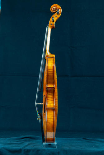 DSC 5698