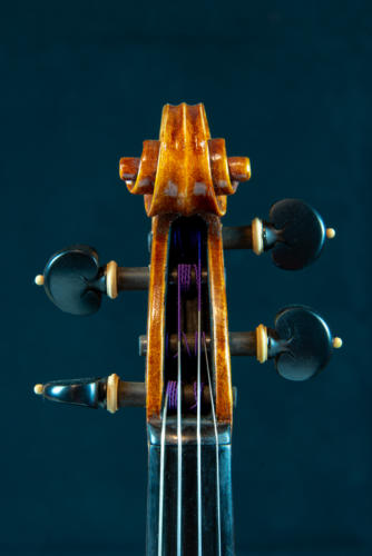 DSC 5700